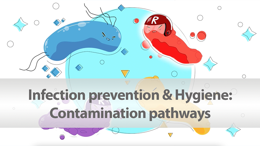 Watch now: Contamination pathways