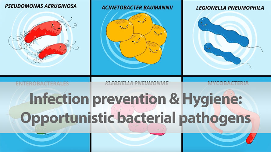 Watch now: Opportunistic pathogens